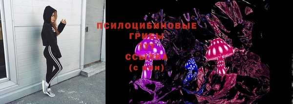соль ск Алексин