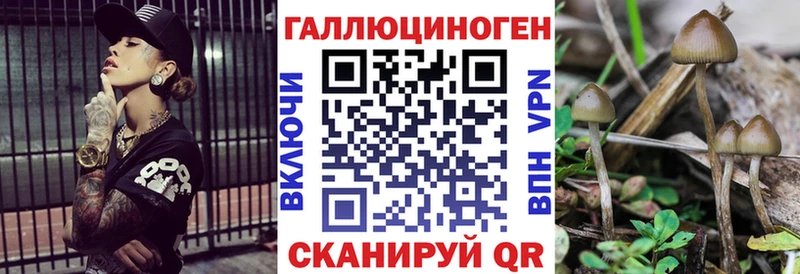 Галлюциногенные грибы мицелий  Мытищи 
